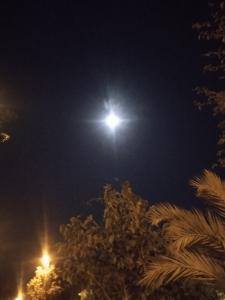 Chica busca chico en Murcia: 