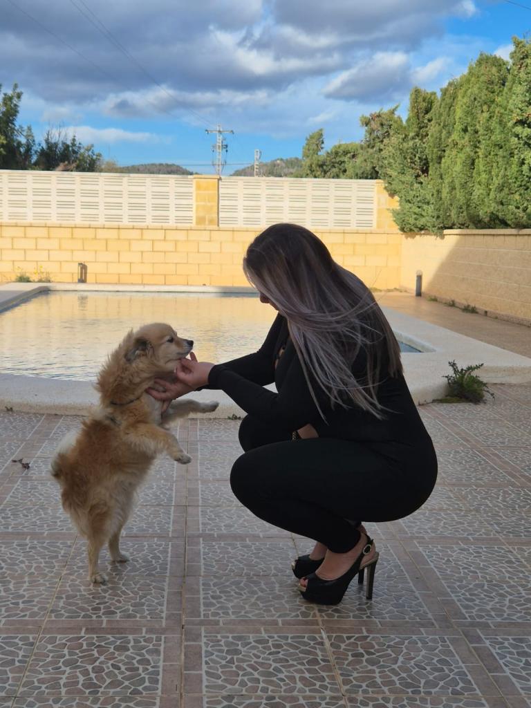 Chica busca chico en Alicante: 