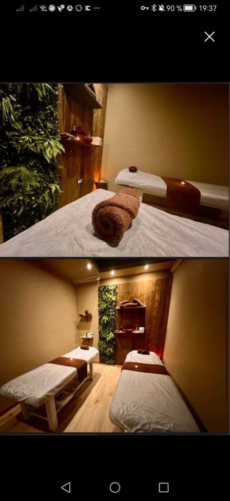 Chica busca chico en Zaragoza: 