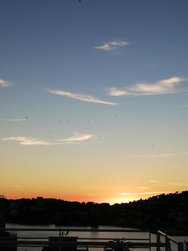 Chico busca chica en Mallorca: 