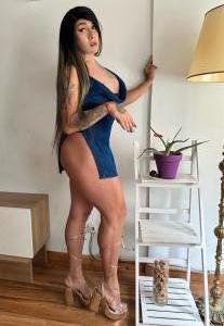 Travesti en Cantabria: 