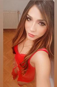 Travesti en Gerona: 