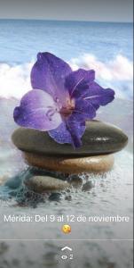 610741273: Chica busca chico en Badajoz