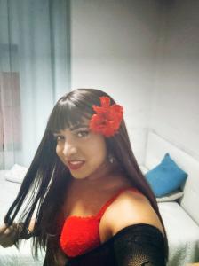 Travesti en Valencia: 