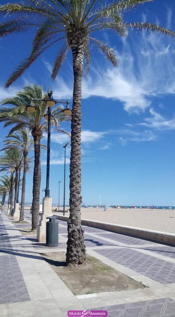 742045104: Chica busca chico en Castellón
