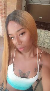 611275300: Travesti en Alicante