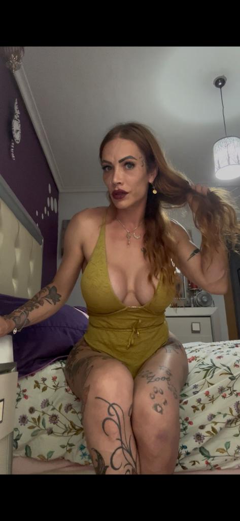 Transexual en La Rioja: Transexuales y Travestis