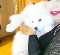 642870339: Chica busca chico en Cuenca