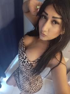 Travesti en Murcia: 