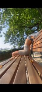 623588475: Virtual en Zaragoza