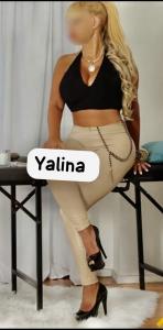 Chica busca chico en Valladolid: 