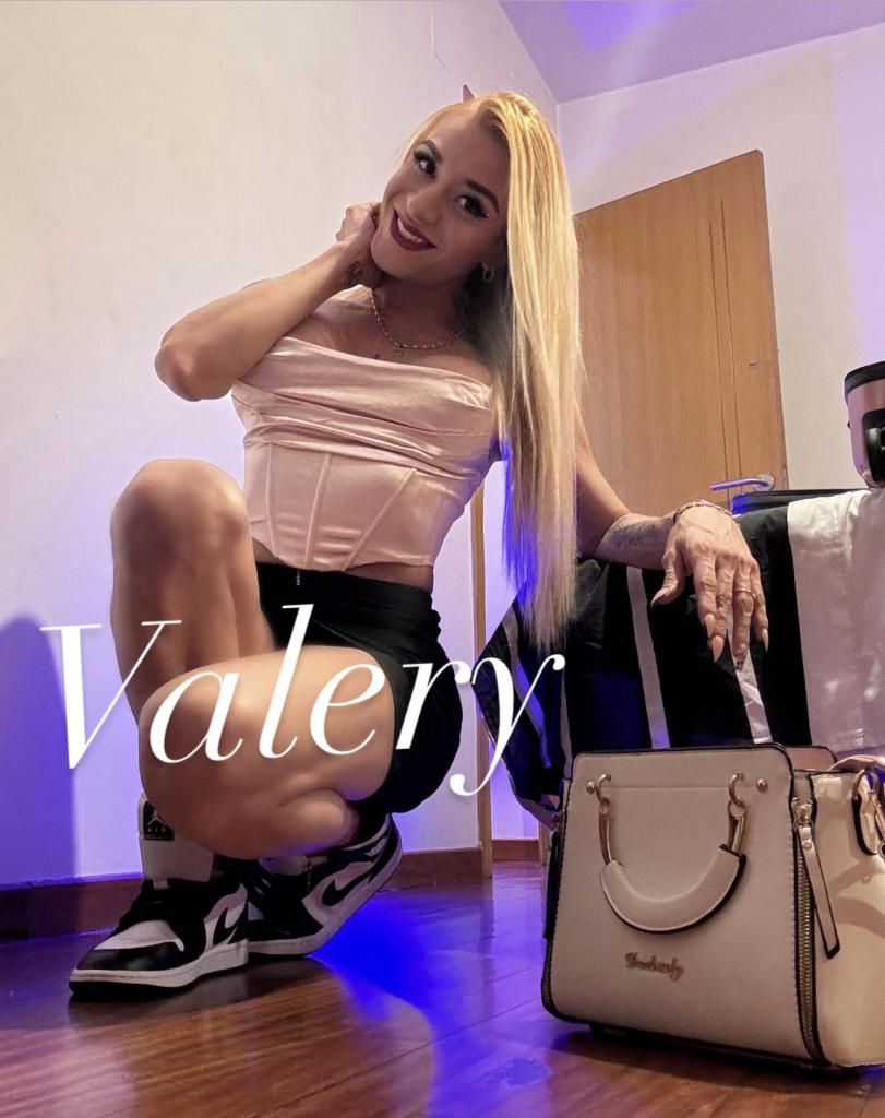 604283433: Transexual en Palencia