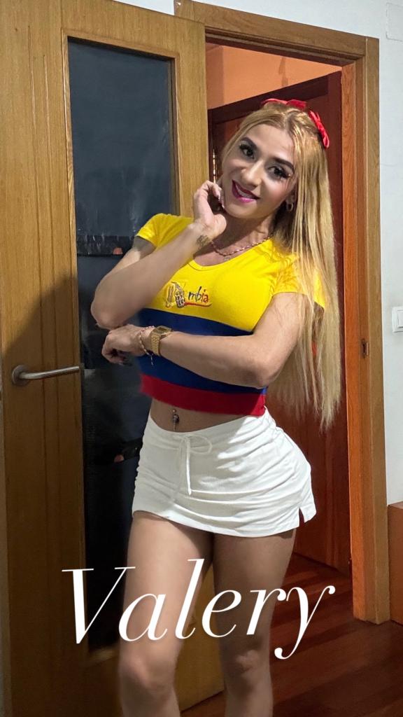 604283433: Travesti en León