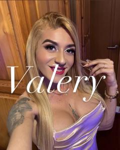 604283433: Travesti en León