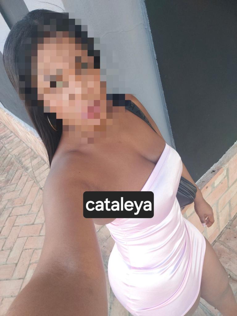 603962770: Chica busca chico en Vizcaya