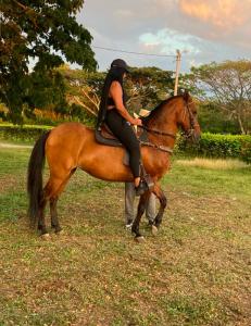 641772203: Chica busca chico en Gerona