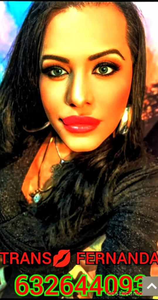 Travesti en Castellón: 