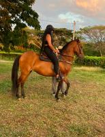 641772203: Chica busca chico en Gerona