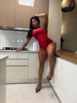 Transexual en Castellón: 