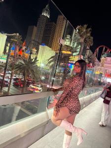 671955714: Transexual en Alicante