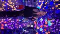 613438617: Chica busca chico en Valencia
