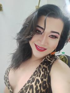 Travesti en Cádiz: 