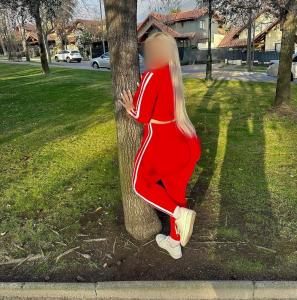 Chica busca chico en Castellón: 