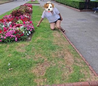 631206563: Chica busca chico en Cantabria