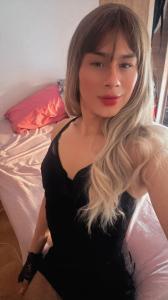 Transexual en Gerona: 