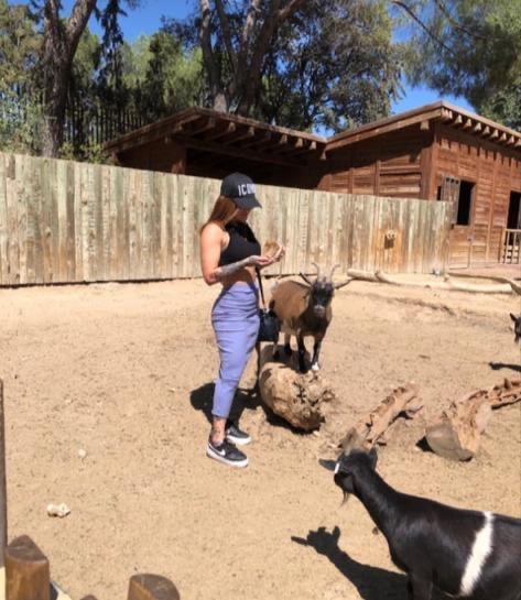 Chica busca chico en Ibiza: 