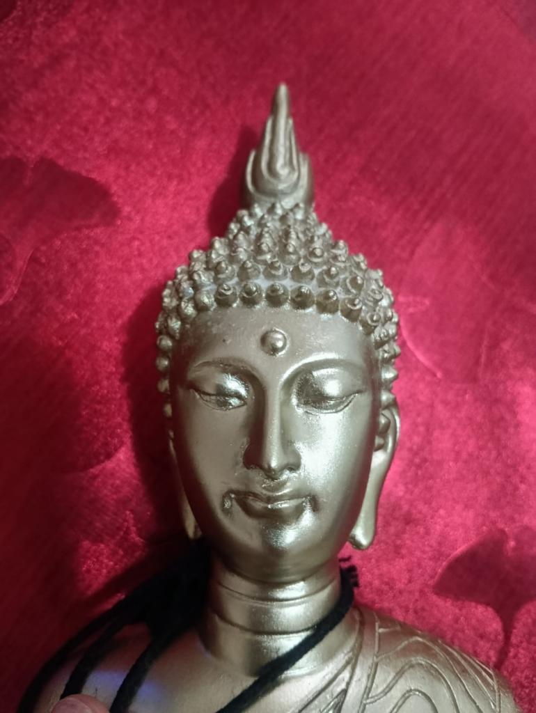 Chica busca chico en Lérida: 