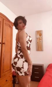 Transexual en Madrid: 