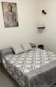 664458865: Chico busca chica en Cádiz