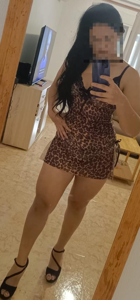 Chica busca chico en Alicante: 
