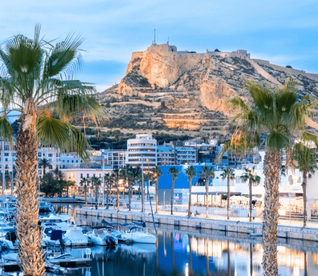 Chica busca chico en Alicante: 