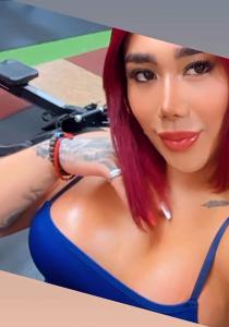 Travesti en Valencia: 
