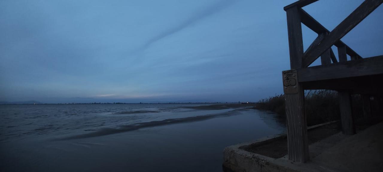 Chico busca chica en Barcelona: 