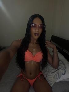 691684116: Travesti en Valencia