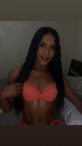 691684116: Travesti en Valencia