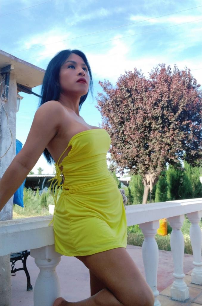 Travesti en Zaragoza: 