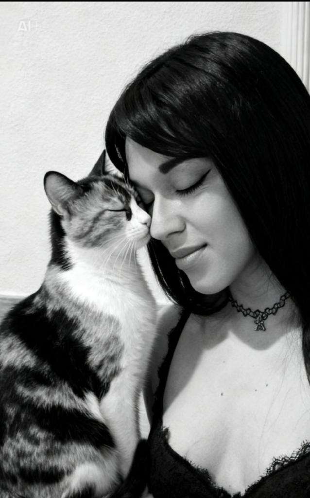 Travesti en Alicante: 