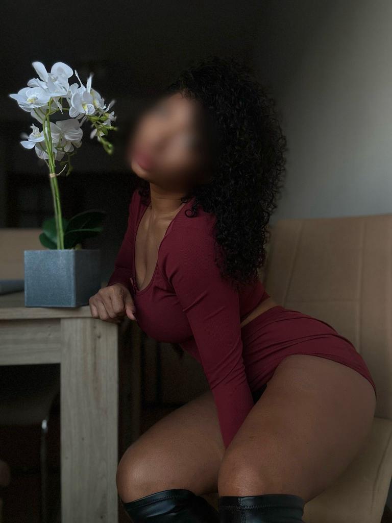 Chica busca chico en Castellón: 