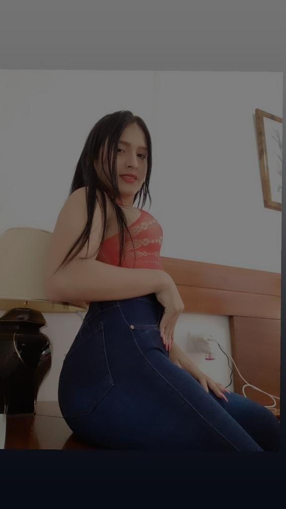 Transexual en Castellón: 