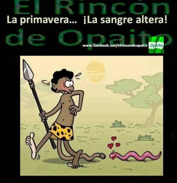 Transexual en Guadalajara: 