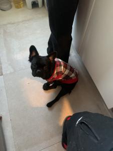 666509497: Chico busca chica en Madrid