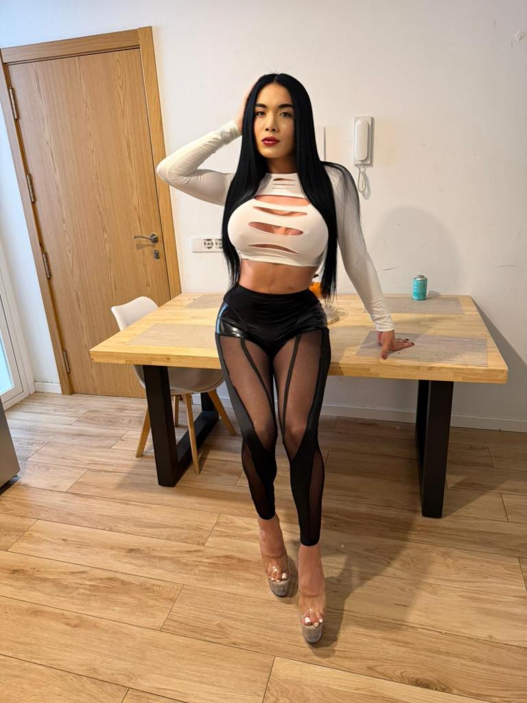 Travesti en Mallorca: 