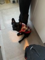 666509497: Chico busca chica en Madrid