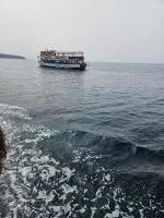 670103245: Chico busca chica en Mallorca