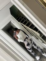 602068297: Chica busca chico en Pontevedra