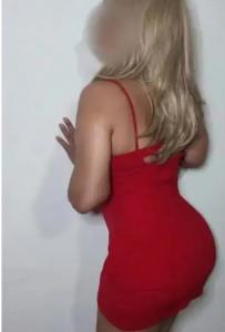 Chica busca chico en Guipúzcoa: 